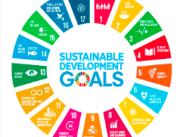 The SDG (SUSTAINABLE DEVELOPMENT GOALS) that the students will deeply learn about by working in teams with students from SPAIN-FRANCE
