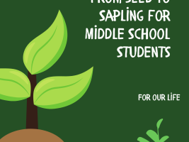 from seed to sapling for middle school student