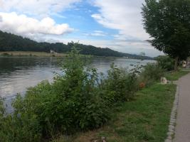Nature along the river Danube, picture taken in the course of cycle tour as an example of sustainable tourism