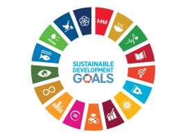 Goals Agenda 2030