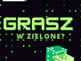 logo GwZ
