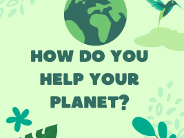 How do you help tour planet?