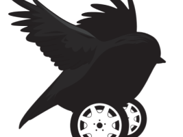 My Blackbird Project