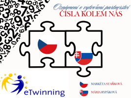 spolupráce, Česko - Slovenská spolupráce, finanční gramotnost