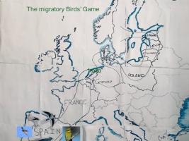 Migratory route of common birds in Europe from Africa to Scandinavia.