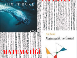 ÇALIŞMA KİTAPLARIMIZ: DELİ İBRAM DİVANI VE MATEMATİK VE SANAT