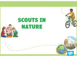 Scouts in nature - kindergarten outside the walls