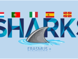 SHARKS new