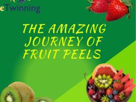 THE AMAZING JOURNEY OF FRUIT PEELS