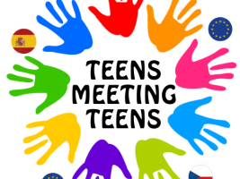 Teens Meeting Teens project thumbnail