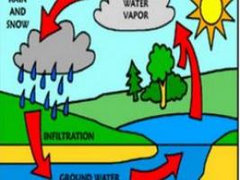 STE(A)M - " The water cycle ! "