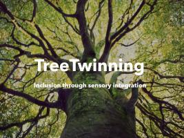 Inclusion through sensory integration, working with trees in TreeTwinning