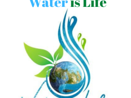 water, life