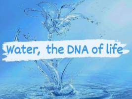 Water is the DNA of life. With this project we intend to sensitize students and the community in general to the problem of water scarcity, which is increasingly notorious and to the pollution that has been affecting the biodiversity of our planet.