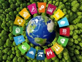 Environmental Sustainability Education