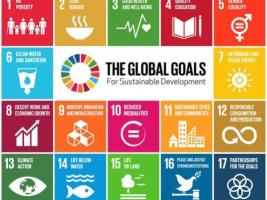UN Sustainable Development Goals - No.12