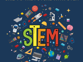 stemproject