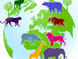 Protected animals in the world observed through the eyes of children