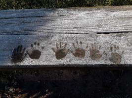 Children's handprints in ice on a wooden bench. 