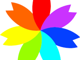 Seven colours_petals