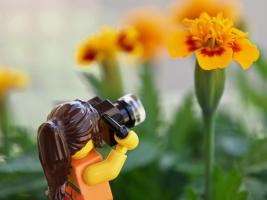 Lego woman taking a photo of a giant flower