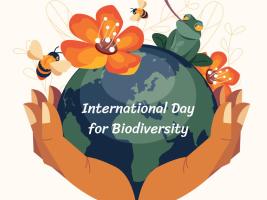 Logo za međunarodnu biološku raznolikost.