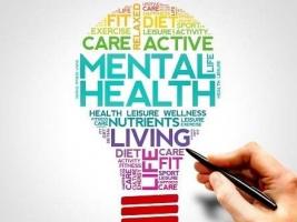 mental health - diet - leisure activity