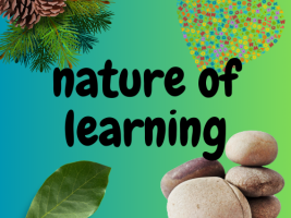 nature of learning