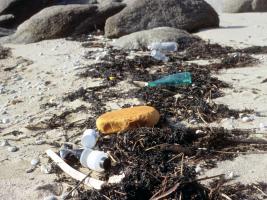 Plástico en las playas 