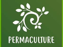 Using Permaculture As A Tool For Environmental Education