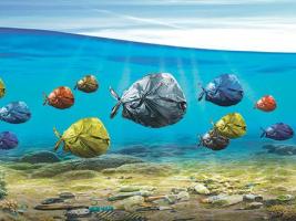 Avoiding marine litter