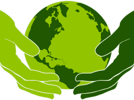 L'image représente la planète prise avec délicatesse entre les mains de deux personnes différentes. Le vert - décliné dans différentes nuance - est la couleur choisie.