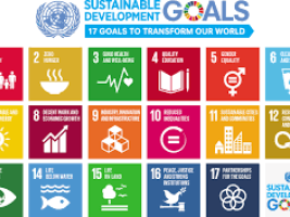 Sustainable Development 17 Goals to Transform our World