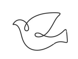 dove of peace/barış güvercini