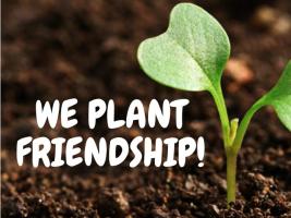 There is a green herb planted on the photo and the name of the project "We Plant Friendshipé is written on the photo.