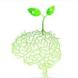zihnini uyar geleceği kurtar & awake mind absolve future