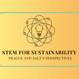 An atom with a bulb inside and then the title of the project: STEM FOR SUSTAINABILITY