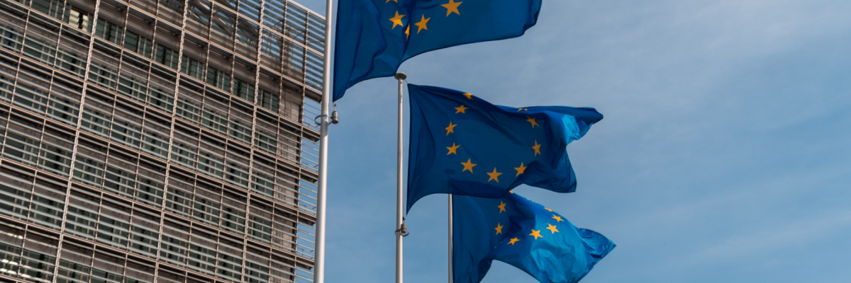 EU flags