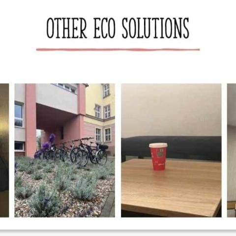 Ecological activities (Konopa, Poland)