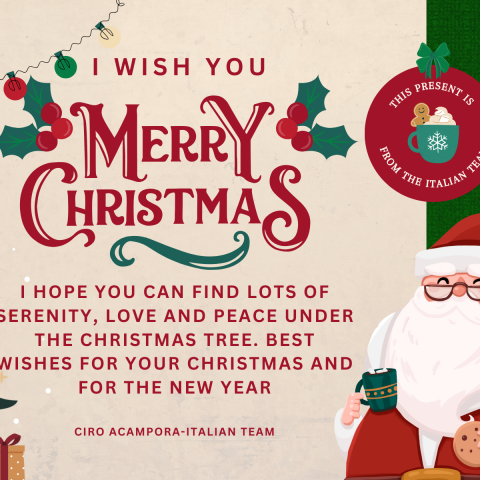 I wish you all a very happy Christmas