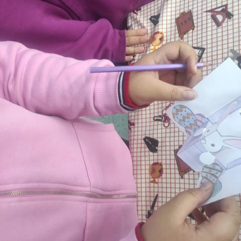 Gokce's rabbit gift 