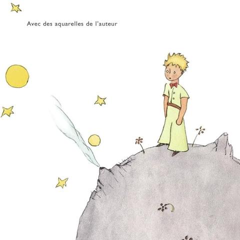 Le Petit Prince ( Roxane from the French team) book cover