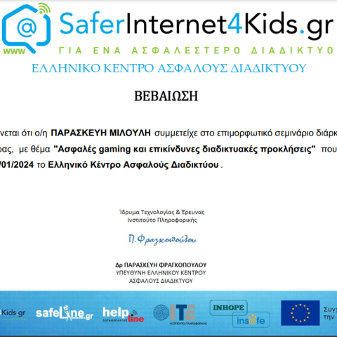 Seminar for Safer Internet