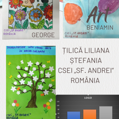 Liliana Ștefania Țilică CSEI „Sf. Andrei”, România logo