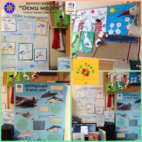 Our eco corner as a reminder of our endangered animals - white stork and dolphin.