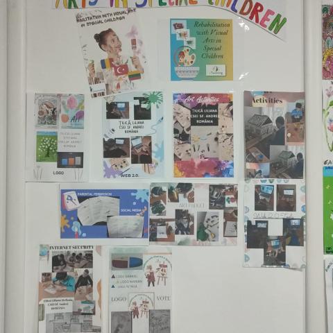 TOFAN OLGA SIMONA, CSEI ,,SF. ANDREI,, ROMÂNIA