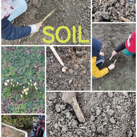 soil experiment soil experiment
