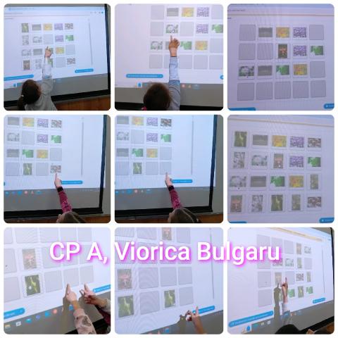 Viorica Bulgaru- Școala Gimnazială „Alexandru Ciucurencu„ Tulcea, România Learming Game VIORICA BULGARU