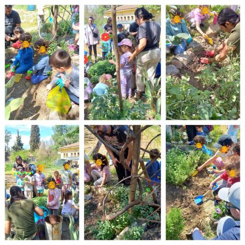 32nd Kindergarten of Thessaloniki, Greece.Children with parents and teachers clean nature and plant vegetables and flowers Children with parents and teachers clean nature and plant vegetables and flowers