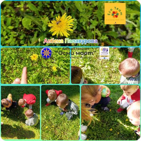 Team Wellbeing Activity. Kindergarten "8th of March ", Plovdiv, Bulgaria